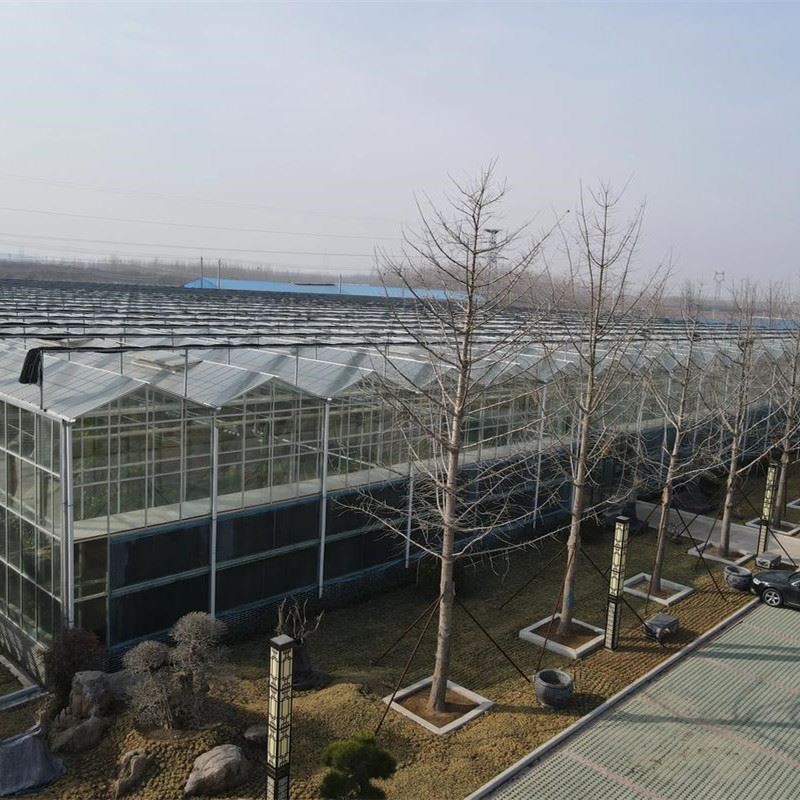 Venlo Greenhouse Structure